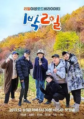 综艺《一起去露营吧》剧照